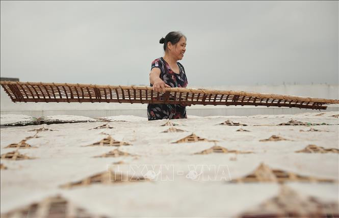 Xã Dĩnh Kế (thành phố Bắc Giang, tỉnh Bắc Giang) có hơn nửa số thôn làm bánh đa, trong đó bánh đa của làng Kế là nổi tiếng hơn cả bởi hương vị độc đáo và thơm ngon không giống với bất cứ nơi đâu. Ảnh: Danh Lam-TTXVN