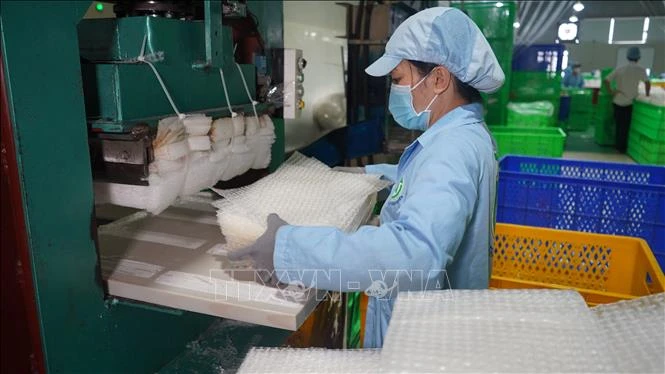 Công đoạn định hình bánh tráng trong dây chuyền sản xuất bánh tráng siêu mỏng, được công nhận sản phẩm OCOP 4 sao. Ảnh: Thanh Tân - TTXVN 
