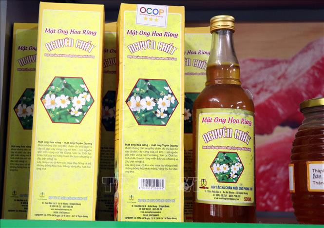Mật ong Hoa Rừng của Hợp tác xã chăn nuôi ong Phong Thổ đạt 3 sao OCOP tỉnh Tuyên Quang. Ảnh: Vũ Quang Đán – TTXVN 