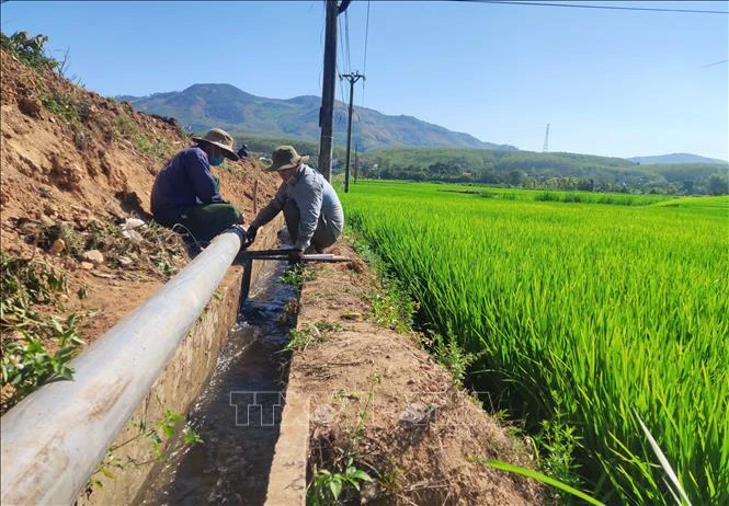 Hệ thống ống dẫn nước dã chiến trên cánh đồng Đăk Sia II, huyện Sa Thầy, tỉnh Kon Tum, phục vụ nước tưới cho các vùng cuối nguồn. Ảnh: Dư Toán – TTXVN