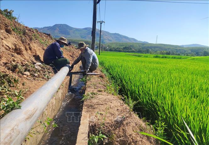 Hệ thống ống dẫn nước dã chiến trên cánh đồng Đăk Sia II, huyện Sa Thầy, tỉnh Kon Tum, phục vụ nước tưới cho các vùng cuối nguồn. Ảnh: Dư Toán – TTXVN