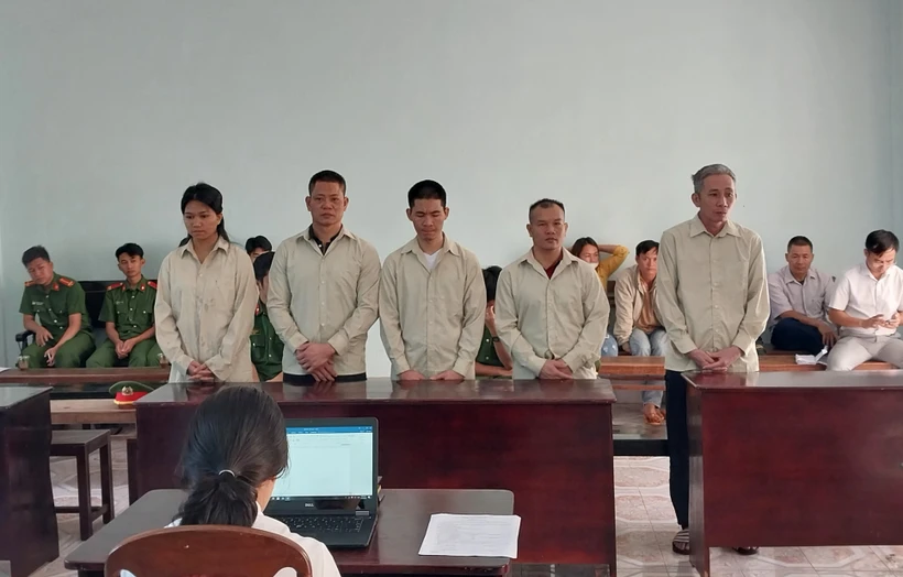 Gia Lai: Xét xử 5 đối tượng tổ chức cho người khác trốn đi nước ngoài trái phép