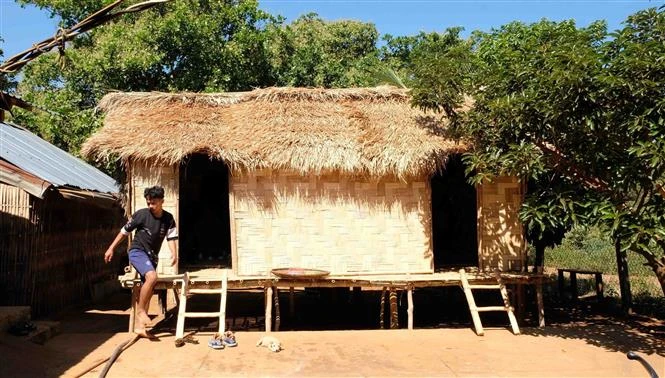 Ngôi nhà dài truyền thống của người Mạ do ông Điểu K’Bôi (huyện Cát Tiên, Lâm Đồng) phục dựng nhìn từ bên ngoài. Ảnh: Nguyễn Dũng – TTXVN