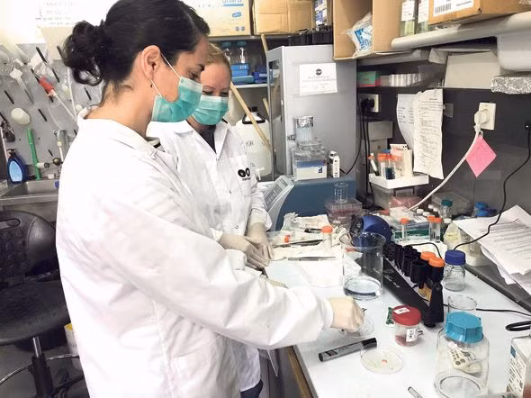 Start-up Israel phát triển Công nghệ in 3D mô và nội tạng người