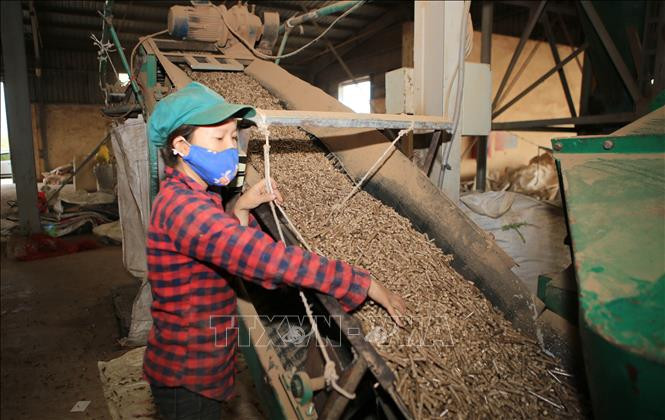 Đối với những ngành nghề đặc biệt, người lao động được nghỉ hưu sớm hoặc muộn hơn 5 tuổi.Ảnh: Hồ Cầu-TTXVN