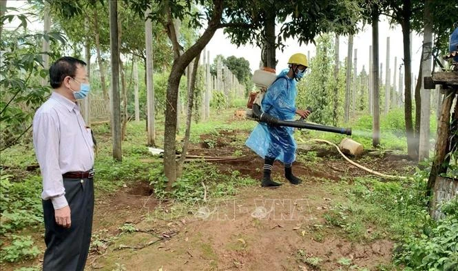 Ngành y tế tỉnh Gia Lai thực hiện phun khử khuẩn môi trường tại làng Bông Hiot, xã Hải Yang, huyện Đak Đoa- nơi có ca bệnh bạch hầu tử vong. Ảnh: Quang Thái - TTXVN