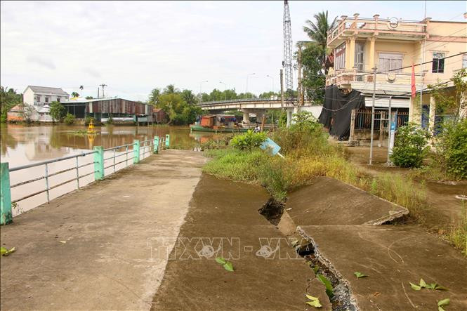 Đoạn kè bê tông trước UBND phường Thới An Đông, quận Bình Thủy bị sạt lở, dạt ra phía ngoài sông. Ảnh: Thanh Liêm - TTXVN
