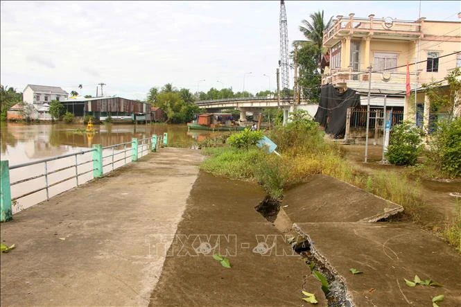Đoạn kè bê tông trước UBND phường Thới An Đông, quận Bình Thủy bị sạt lở, dạt ra phía ngoài sông. Ảnh: Thanh Liêm - TTXVN