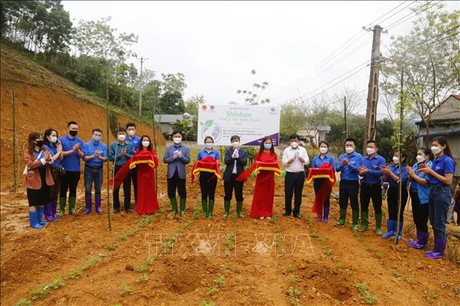 Trồng và trao tặng 500 cây xanh cho các hộ gia đình có hoàn cảnh khó khăn của xã Trung Yên. Ảnh: Nam Sương - TTXVN 