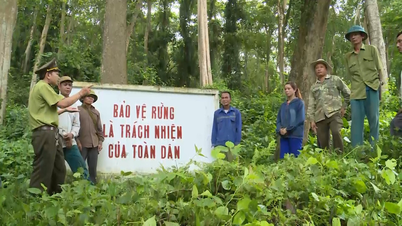 Tăng cường công tác quản lý, bảo vệ và phát triển rừng