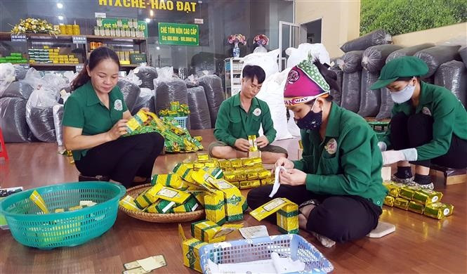 Hợp tác xã Chè Hảo Đạt ở xóm Nam Đồng, xã Tân Cương, thành phố Thái Nguyên (Thái Nguyên) có nhiều sản phẩm chè với mẫu mã đa dạng, phong phú. Ảnh: Trần Trang - TTXVN
