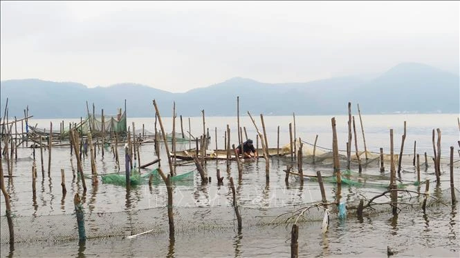 Nuôi thủy sản lồng, bè tại tại vùng đầm phá, ven biển Thừa Thiên-Huế. Ảnh: Tường Vi - TTXVN 