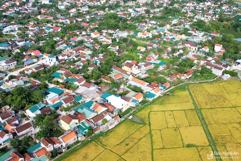 Diện mạo nông thôn ở Yên Thành ngày càng khởi sắc. Ảnh: baonghean.vn 
