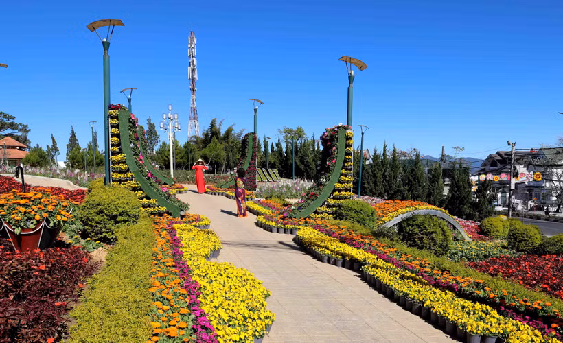 Festival Hoa Đà Lạt sẽ diễn ra trong 2 tháng với 51 chương trình đặc sắc