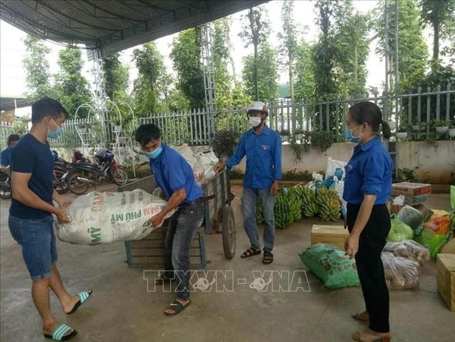 Tỉnh Đoàn Đắk Nông phát động ủng hộ hơn 200 tấn rau củ quả cho bà con tại các tỉnh chịu ảnh hưởng bởi dịch COVID-19. Ảnh: TTXVN phát 