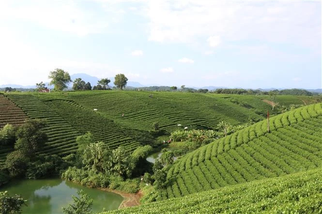 Thái Nguyên xây dựng Đại Từ đạt tiêu chuẩn thị xã vào năm 2025