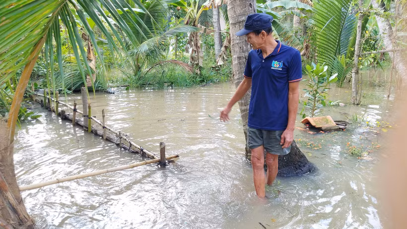 Triều cường dâng cao ảnh hưởng đến đời sống người dân. Ảnh: Huỳnh Phúc Hậu - TTXVN 