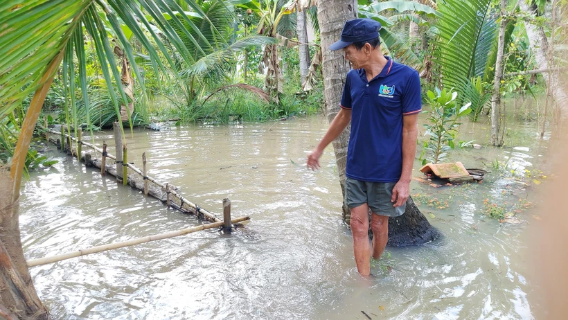 Triều cường dâng cao ảnh hưởng đến đời sống người dân. Ảnh: Huỳnh Phúc Hậu - TTXVN 