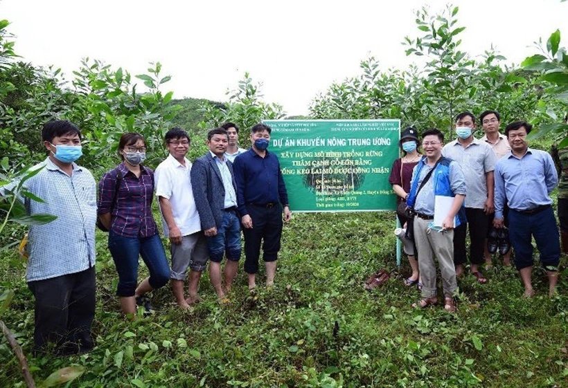 Cán bộ Trung tâm Khuyến nông Quốc gia giới thiệu mô hình trồng rừng gỗ lớn tại huyện Đồng Xuân, tỉnh Phú Yên. Ảnh: TTXVN phát