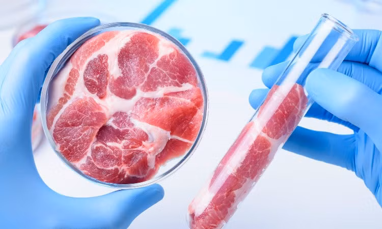 Nhiều ý kiến cho rằng, 2-3 năm nữa, thịt nhân tạo với giá phải chăng sẽ xuất hiện ở một số nhà hàng, còn trong 10 năm nữa thịt nhân tạo sẽ tràn ngập siêu thị.Ảnh : tapchitaichinh.vn 
