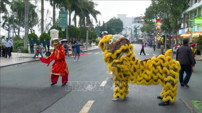 Trình diễn văn hóa nghệ thuật trên tuyến phố đi bộ Ninh Kiều. Ảnh: Trung Kiên - TTXVN 