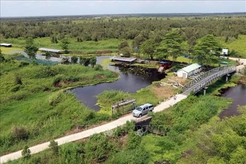 Giao thông phục vụ du khách tham quan Vườn Quốc gia U Minh Thượng (Kiên Giang). Ảnh: Lê Huy Hải - TTXVN 