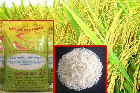 Gạo ST24 của Sóc Trăng được công nhận là gạo ngon nhất thế giới năm 2019. Ảnh : thoibaotaichinhvietnam.vn