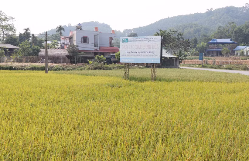 Nỗ lực đưa Định Hóa trở thành huyện nông thôn mới trong năm 2023