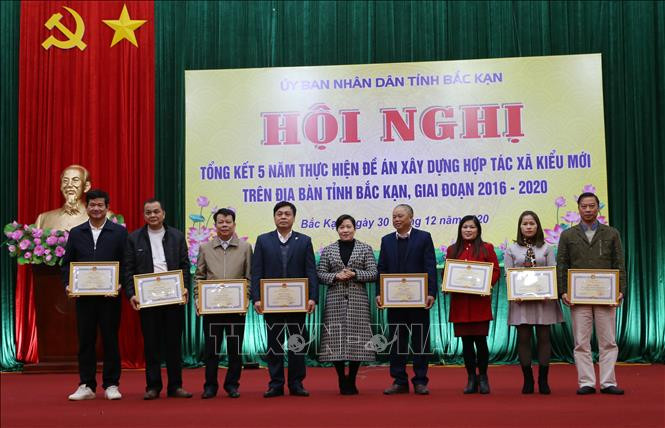 Trao Bằng khen cho các cá nhân có thành tích xuất sắc. Ảnh: TTXVN phát