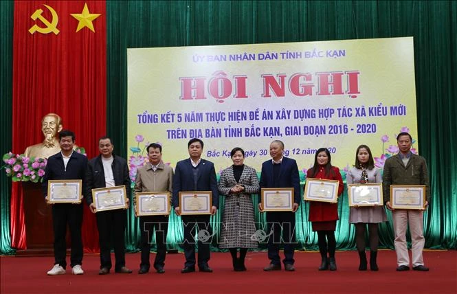 Trao Bằng khen cho các cá nhân có thành tích xuất sắc. Ảnh: TTXVN phát