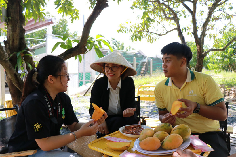 Anh Trần Lê Hòa giới thiệu đến những du khách cách ăn trái xoài Cam Lâm. Ảnh: Phan Sáu - TTXVN 