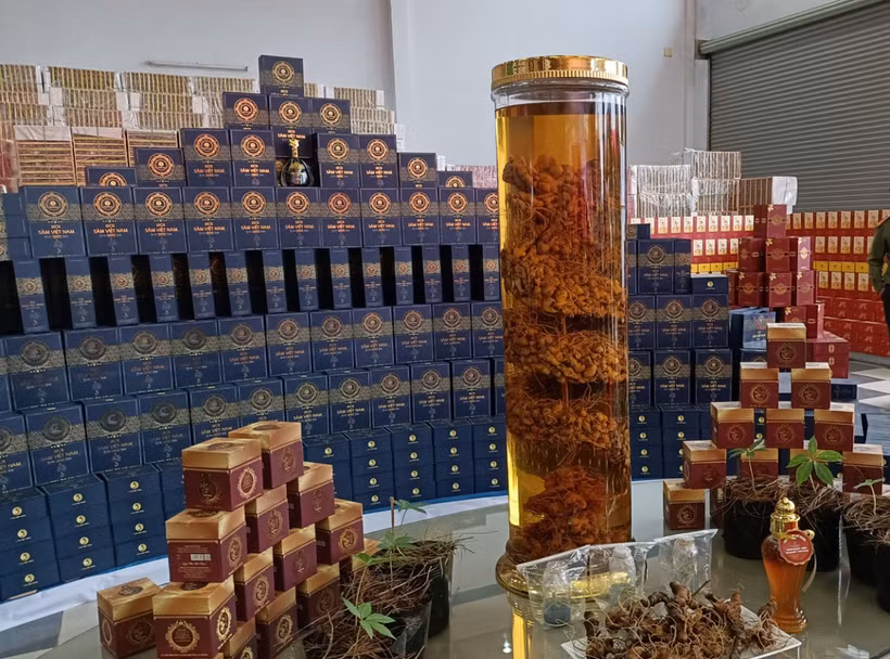 Các sản phẩm của Công ty cổ phần đầu tư Sâm Việt Nam được trưng bày trong ngày khai trương trụ sở. Ảnh: vov.vn