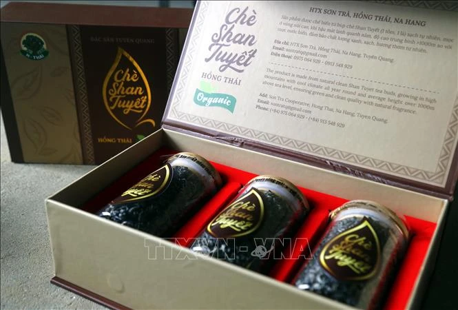 Khẳng định thương hiệu chè đặc sản Shan tuyết Na Hang