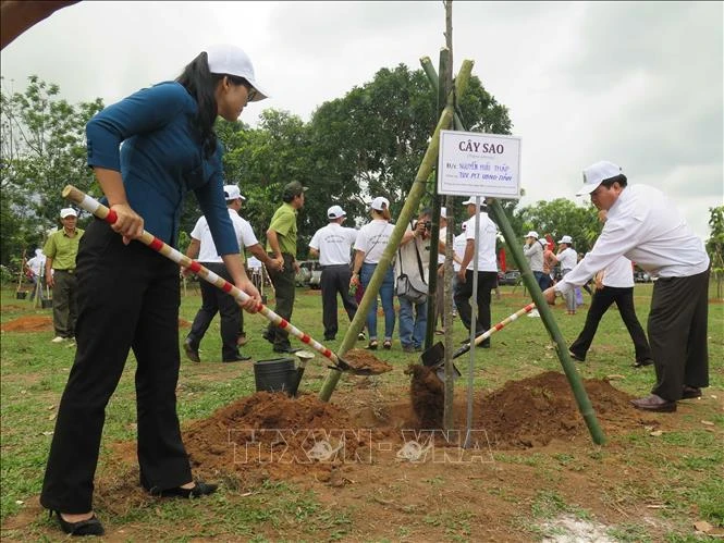 Các đại biểu trồng cây tại buổi lễ. Ảnh: Dư Toán – TTXVN