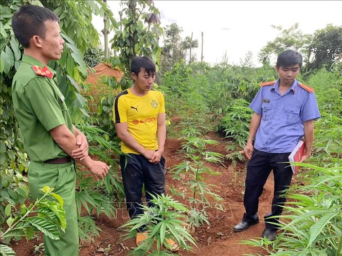 Đối tượng Nguyễn Văn Minh (áo vàng) làm việc với lực lượng công an. Ảnh: TTXVN phát