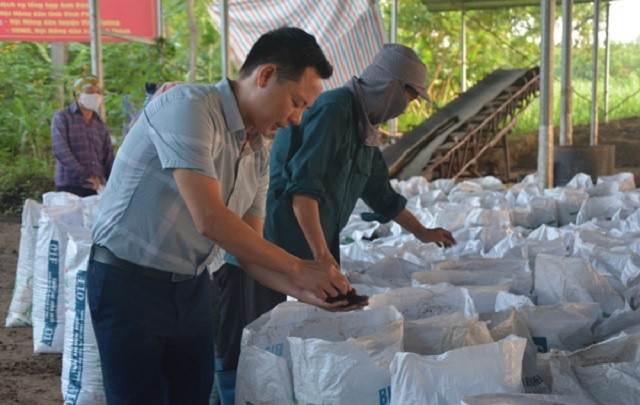 Ông Nguyễn Văn Thảo, Giám đốc Hợp tác xã môi trường và sản xuất kinh doanh dịch vụ Anh Đăng, kiểm tra chất lượng phân hữu cơ sau khi ép. Ảnh: vnbusiness.vn