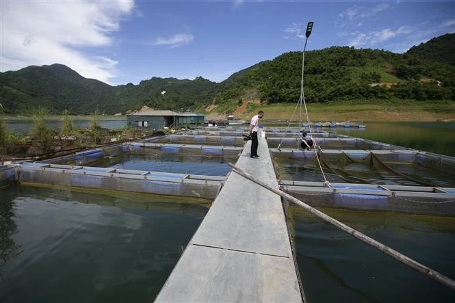 Người dân huyện vùng cao Đà Bắc thoát nghèo nhờ nguồn vốn vay ưu đãi