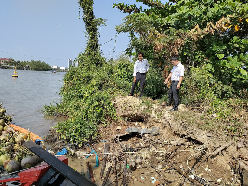 Sạt lở nghiêm trọng trên sông Mỏ Cày ảnh hưởng đến cuộc sống người dân. Ảnh: Huỳnh Phúc Hậu - TTXVN