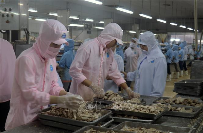 Kinh tế Việt Nam 2020: Xuất khẩu lập đỉnh cao mới