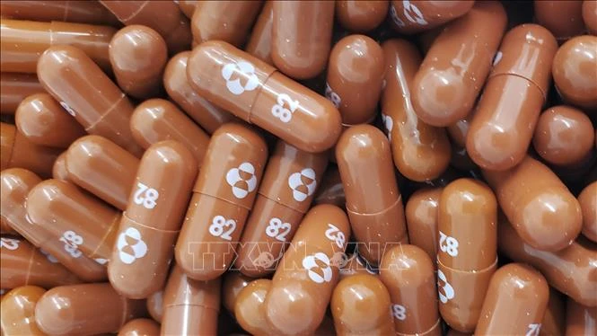 Thuốc viên Molnupiravir chống COVID-19 của công ty dược phẩm Mỹ Merch . Ảnh: TTXVN phát 