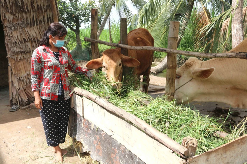 Trà Vinh giảm trên 4.800 hộ nghèo