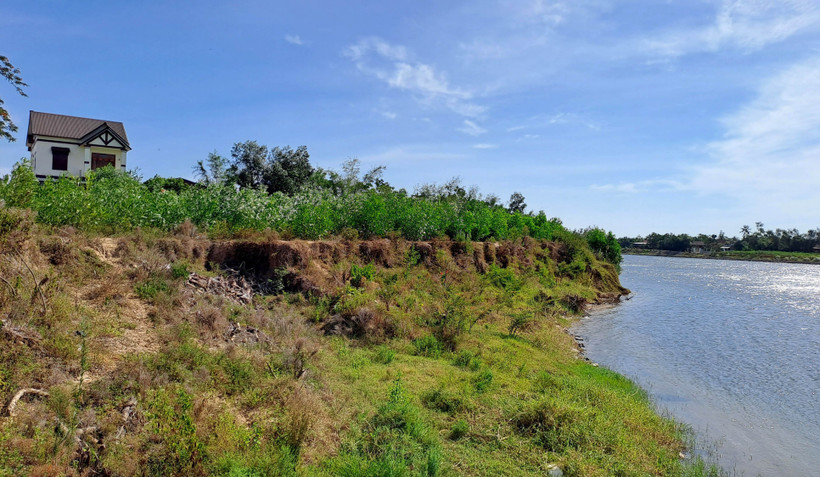 Bờ sông Thạch Hãn đoạn qua xã Triệu Giang, huyện Triệu Phong (Quảng Trị) bị sạt lở nghiêm trọng lấn sâu vào đất sản xuất của người dân. Ảnh: Nguyên Lý - TTXVN