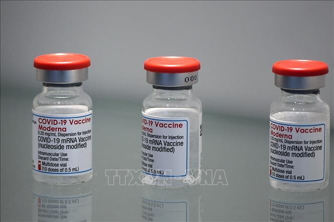 Vaccine phòng COVID-19 của Moderna. Ảnh: AFP/TTXVN 