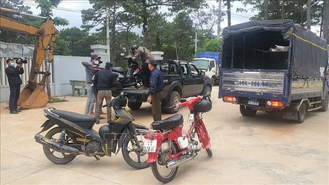Tang vật vụ phá rừng. Ảnh: TTXVN phát 