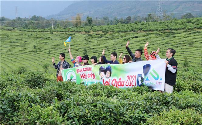 Du khách khám phá đồi chè Tân Uyên, huyện Tân Uyên, tỉnh Lai Châu. Ảnh: Nguyễn Oanh-TTXVN. 