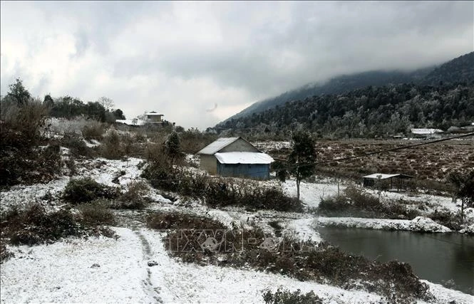 Nằm trên độ cao khoảng 2000m, ruộng ở Y Tý trải dài theo sườn đồi, triền núi hình vòng cung như một chấm phá hoa văn độc đáo. Ảnh : motogo.vn 