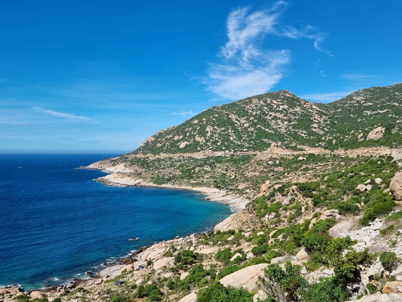 Rừng phòng hộ ven biển Thuận Nam (Thuận Nam, Ninh Thuận) tạo thành lá chắn giảm nhẹ thiên tai, ứng phó với biến đổi khí hậu. Ảnh: Nguyễn Thành –TTXVN 