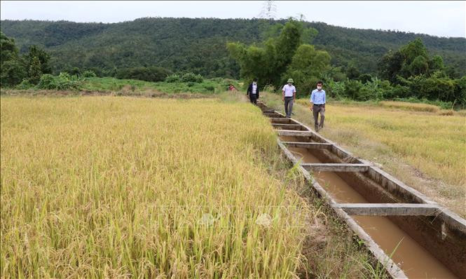 Hệ thống thủy lợi dẫn nước về các cánh đồng tại xã Ayun (Chư Sê, Gia Lai). Ảnh: Hồng Điệp - TTXVN 