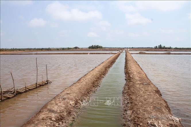 Ao nuôi Artemia của nông dân ở huyện Hòa Bình (tỉnh Bạc Liêu). Ảnh: Chanh Đa-TTXVN