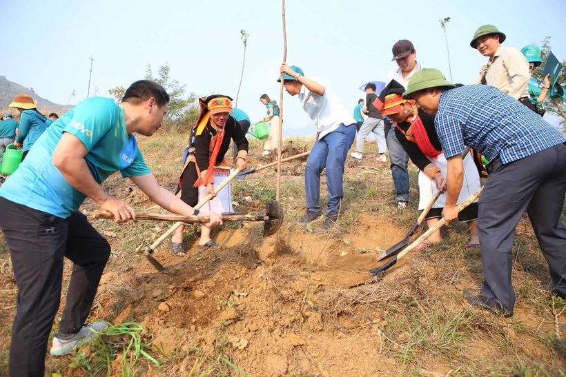 Phó tổng giám đốc BIDV, ông Trần Phương cùng Bí thư huyện ủy Phong Thổ, Sùng A Nủ và người dân trồng cây xanh tại xã Bản Lang tại lễ trồng cây. Ảnh: Quý Trung – TTXVN